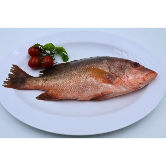 Fresh Red Snapper – Mild, Sweet & Firm - Tong Guan Seafood